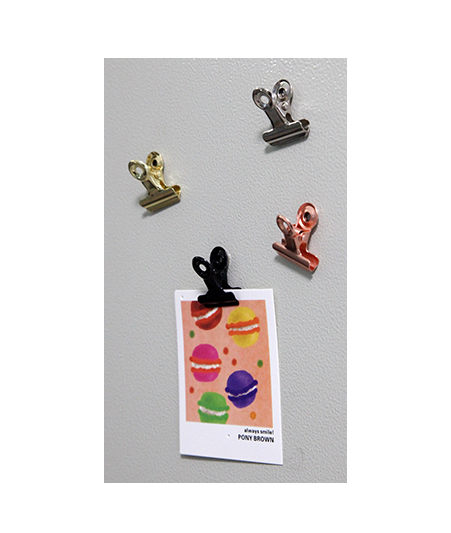 Metal Clips